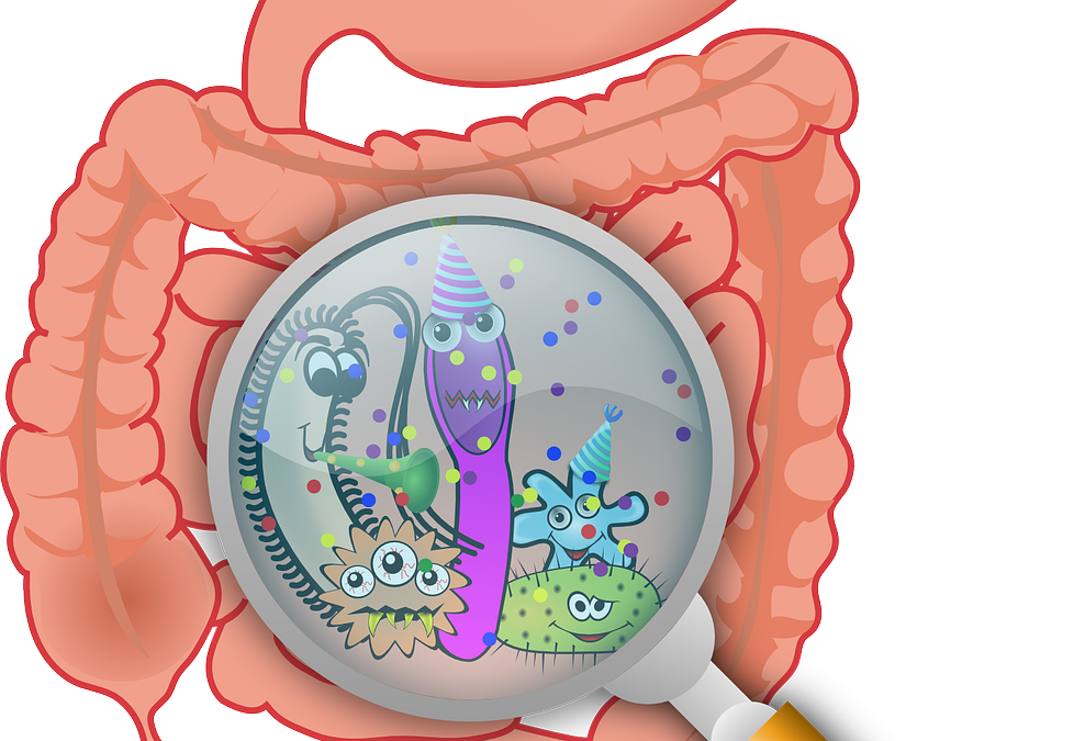 Root causes of IBS